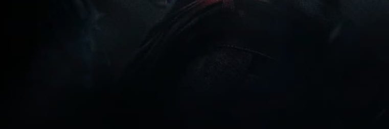 wpo's profile banner image