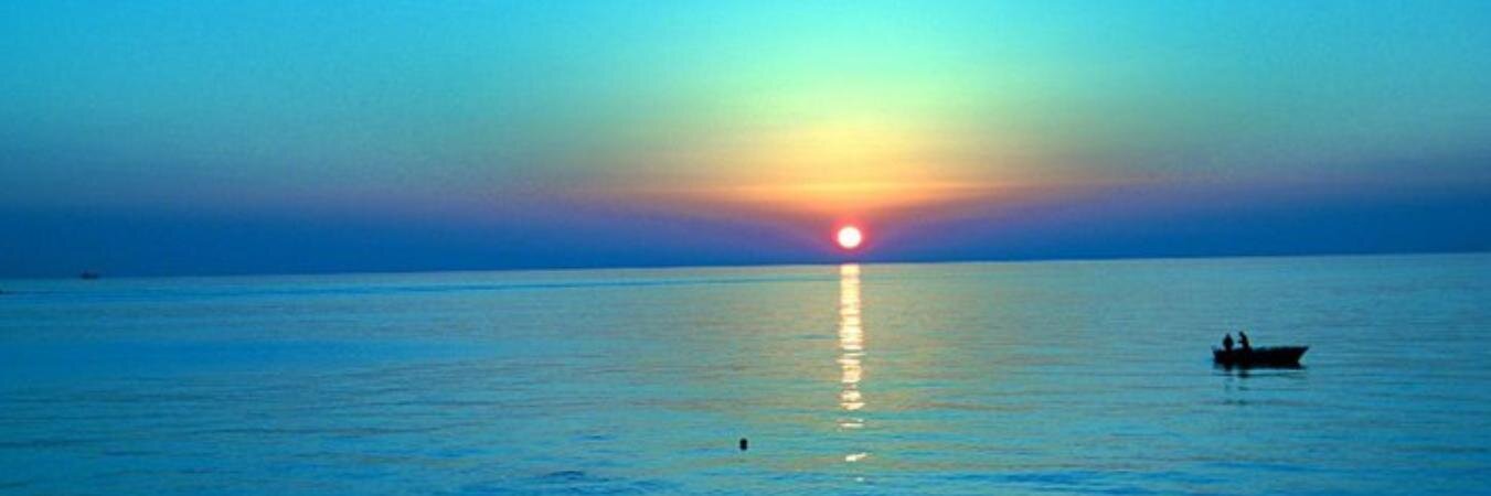 matteocacciola's profile banner image