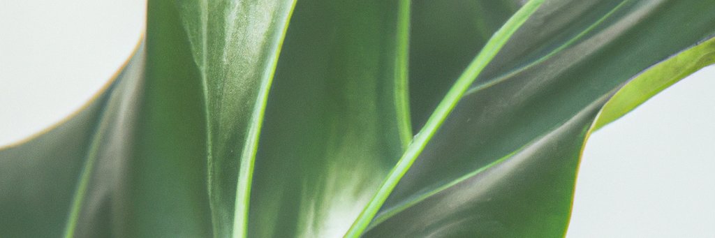 New Peace Music banner