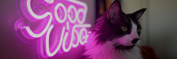 daniel22priv Profile Banner