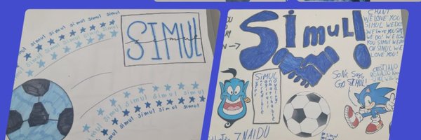 MEACSIMUL Profile Banner