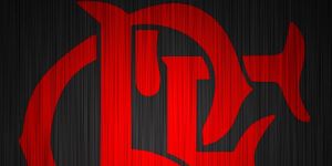 bielsnb's profile banner image
