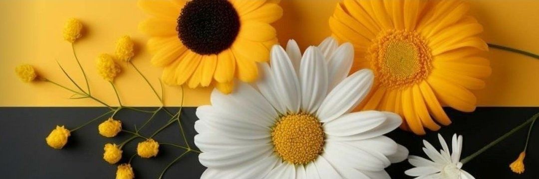 mbeftel98's profile banner image