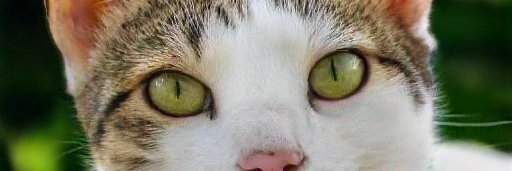 Crystal38287133's profile banner image