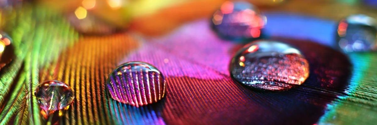 vippopers507's profile banner image