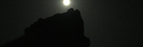 SRshotit Profile Banner