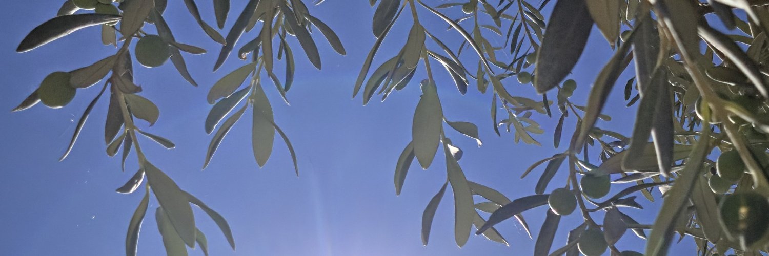 Belgin_2024's profile banner image