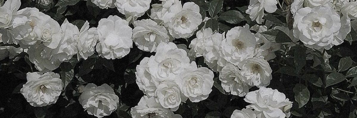 ㇽㇽ banner