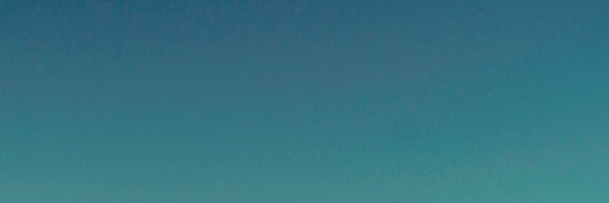 Leo Fildani banner