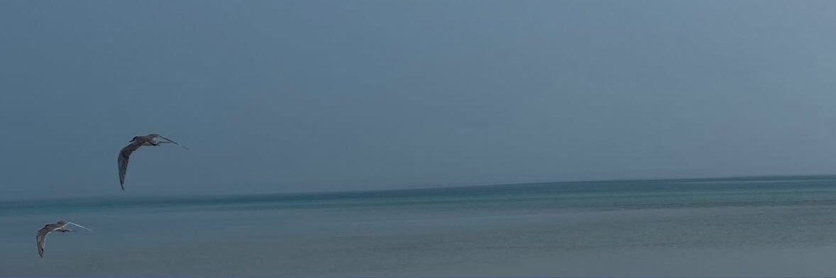 Sukinh Alabdullah banner