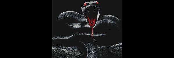 sexyrdkingz Profile Banner