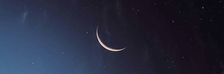 _onerose_'s profile banner image
