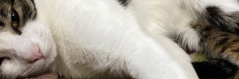 melkaori's profile banner image
