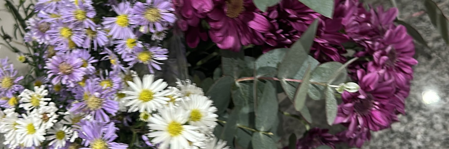 RomiDieguez's profile banner image