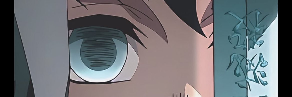 Hassy banner