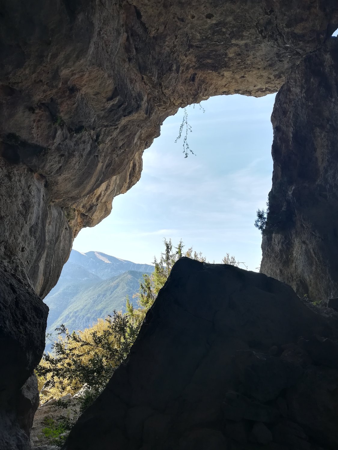 Maddalena Cataldi banner