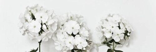 Bulanwf's profile banner image
