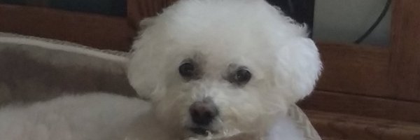 aimop95 Profile Banner