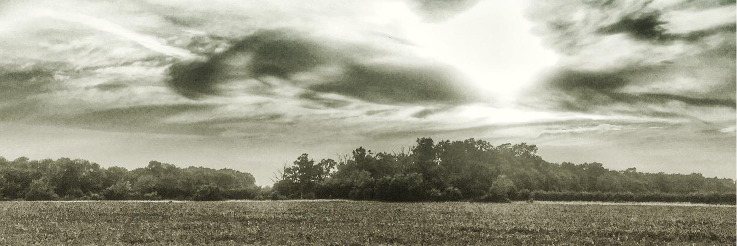 MarcusIles's profile banner image