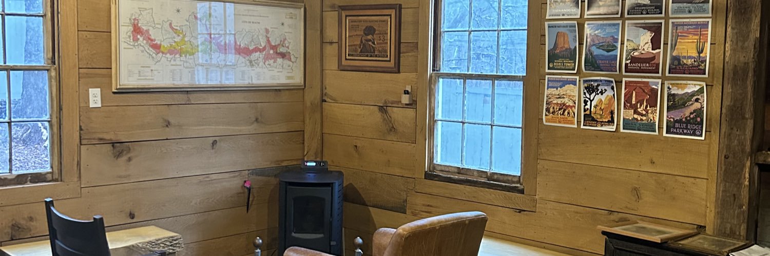 Barn Swallows banner