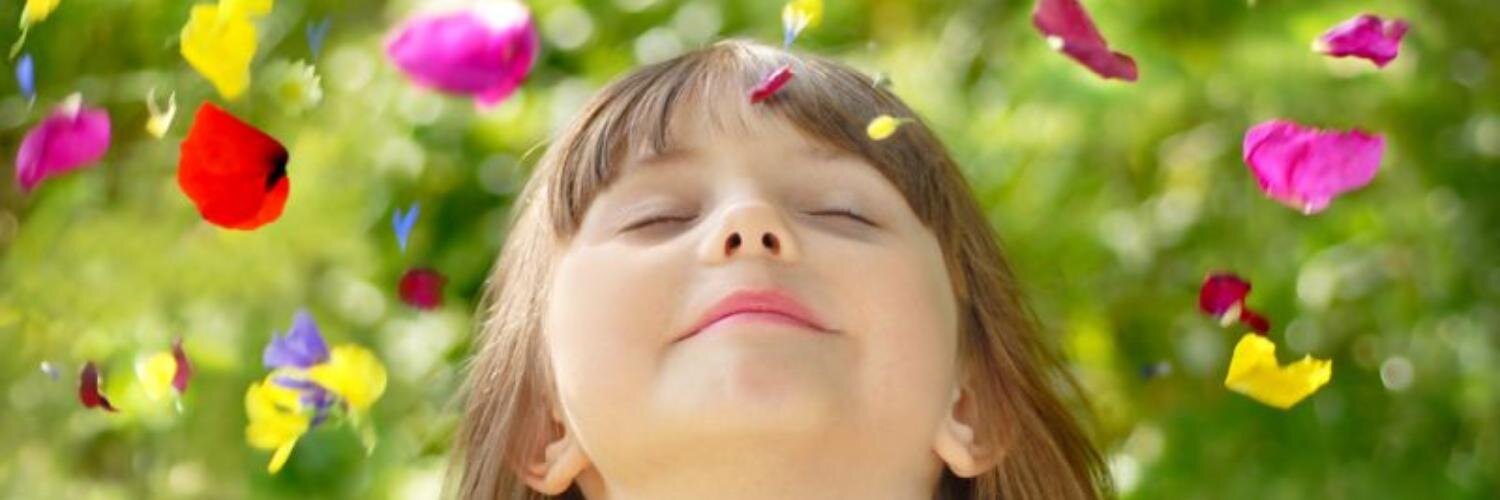 baobabartdevie's profile banner image
