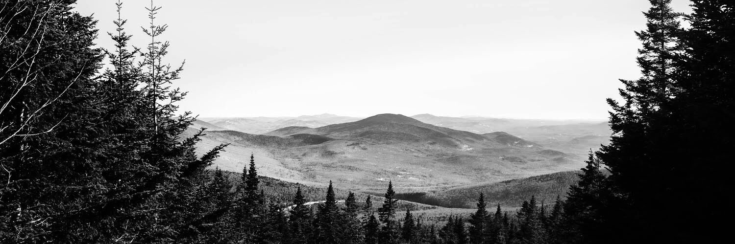 CarlyGeraci's profile banner image