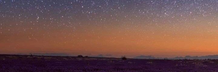 ❥B L A C K💫🌙ft.พักสัก1เดือน🪷🖤 banner