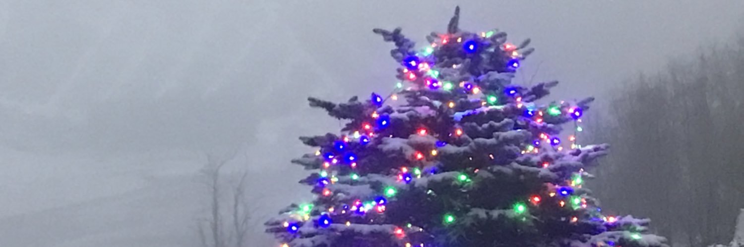 MountainSql's profile banner image