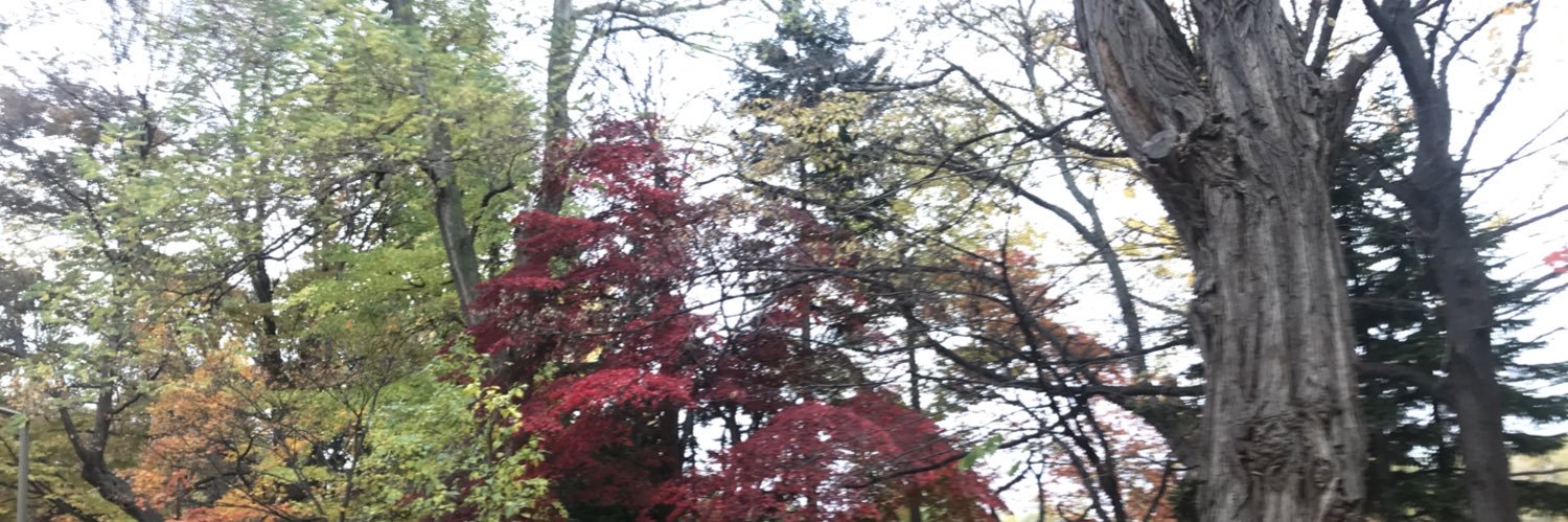 ta2ya3150's profile banner image