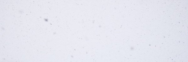 nivelaky Profile Banner