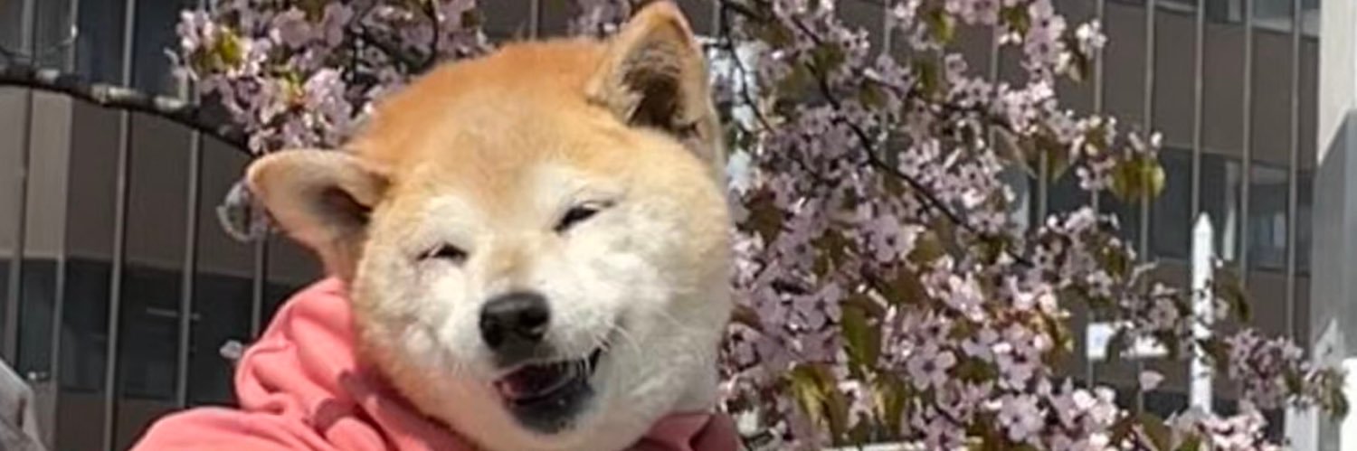 えみ banner