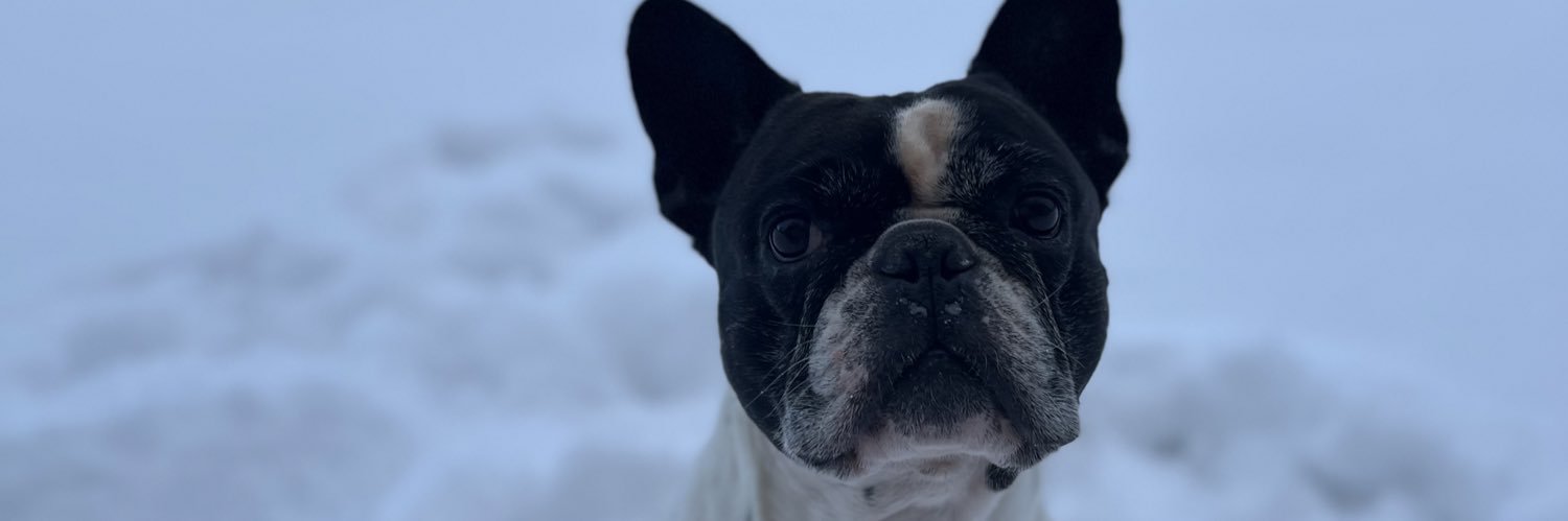 prinecchz's profile banner image