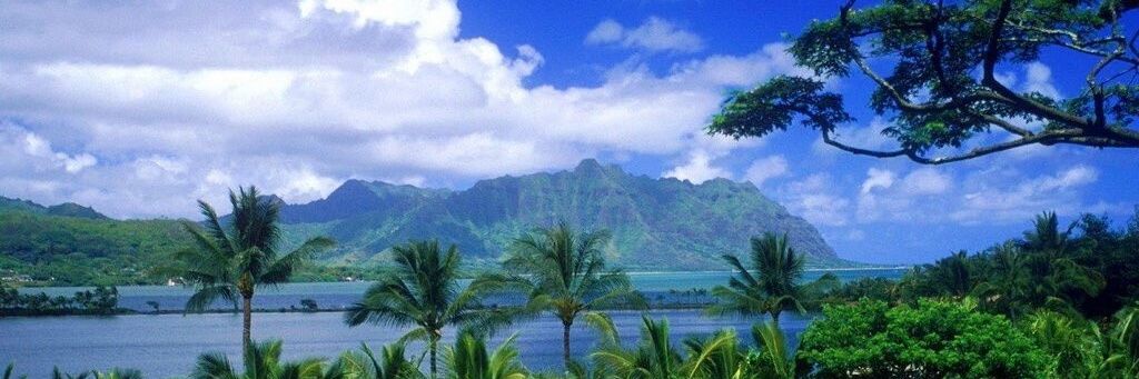 rrr14099's profile banner image