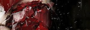 ASelbani's profile banner image