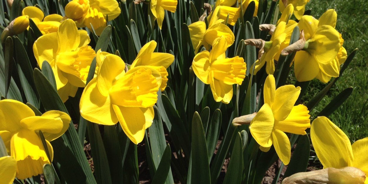 Amanda Kate 🌎📚 banner