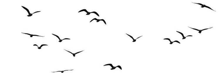 xxiii1111's profile banner image