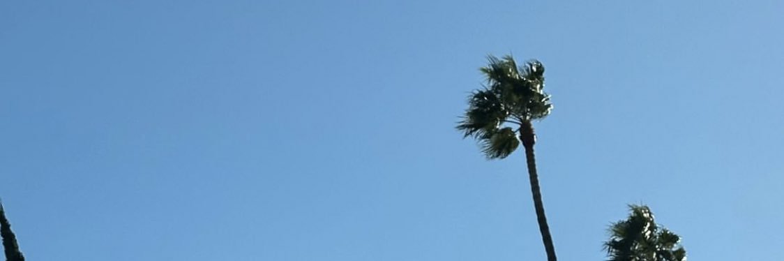 kovvasky's profile banner image