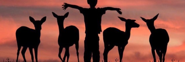 moonaxa's profile banner image