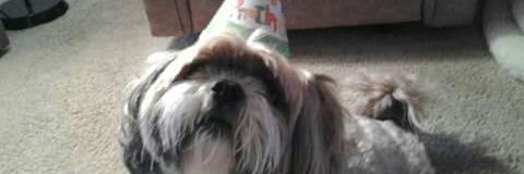 coolncute1973's profile banner image