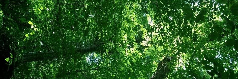 antiflashzone's profile banner image