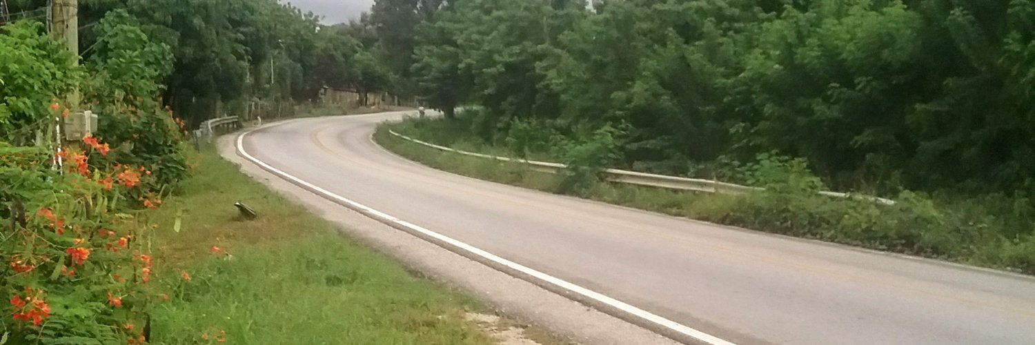 fesantar's profile banner image