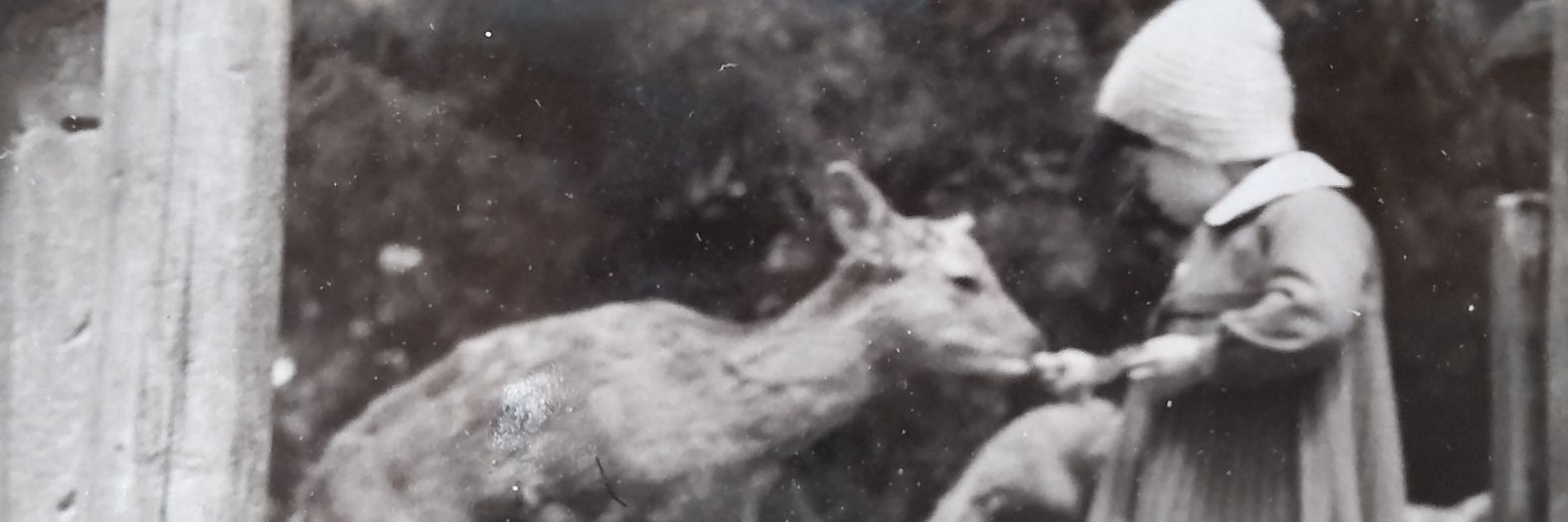 lavianorma's profile banner image