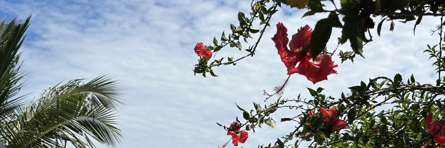 Matifissore's profile banner image