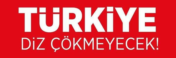 mert201361's profile banner image