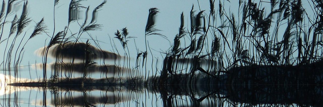 dasenster's profile banner image
