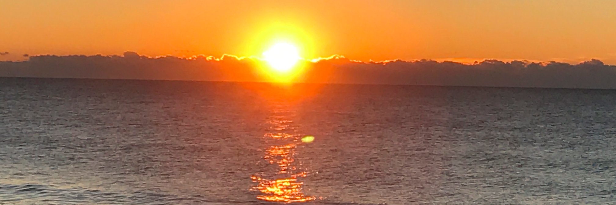 Piper Cronin-LeMaster banner