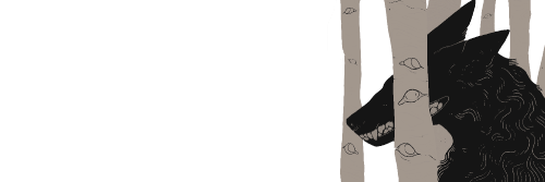 ✦ sheep’s clothing. ◞ banner