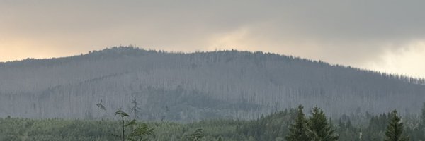 Quaxyfnr Profile Banner