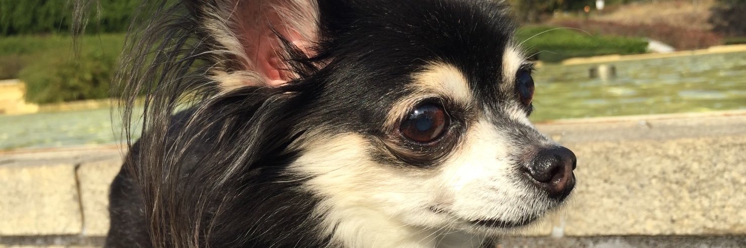 kassii3's profile banner image