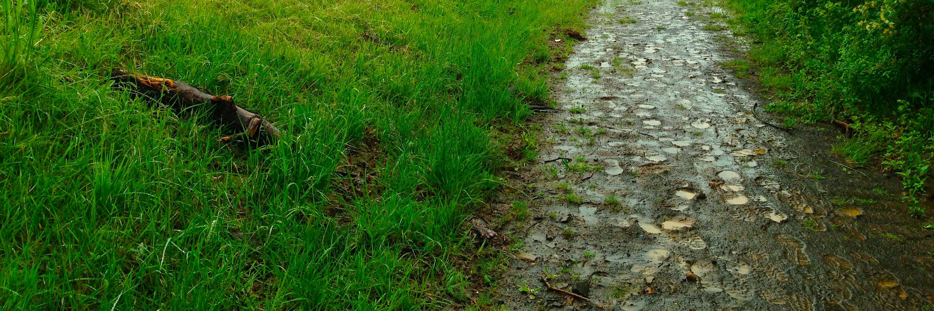 bhousel's profile banner image